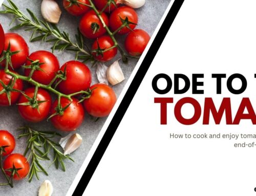 Ode to the Tomato | Plant-Based Dishes for Tomato Lovers