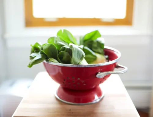 Sichuan Bok Choy Stir Fry