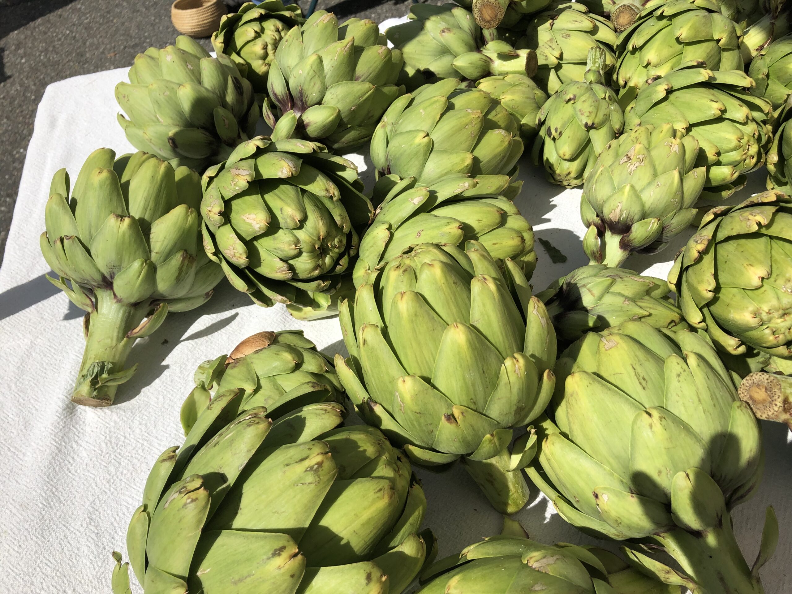 artichoke macro photography