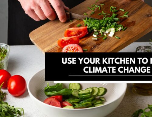 Use Your Kitchen to Fight Climate Change