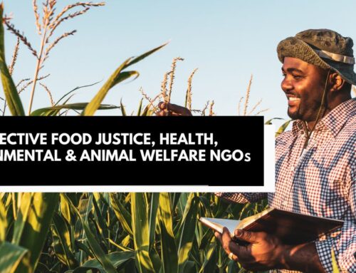 7 Effective Food Justice, Health, Environmental & Animal Welfare NGOs