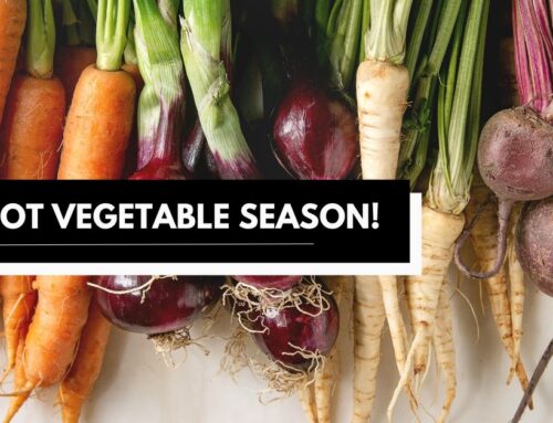 Sweet, Savory, Nutrient-Rich: It’s Root Vegetable Season!