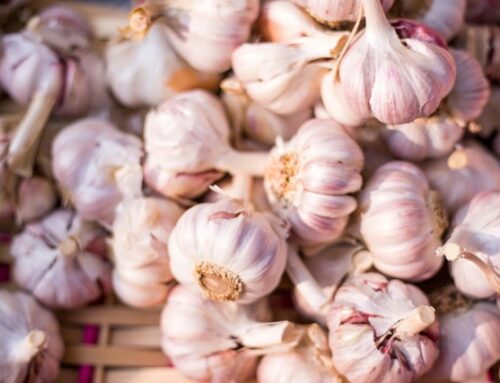 Four Heads of Garlic Soup