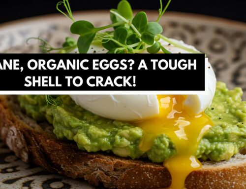 Humane, Organic Eggs? A Tough Shell to Crack!