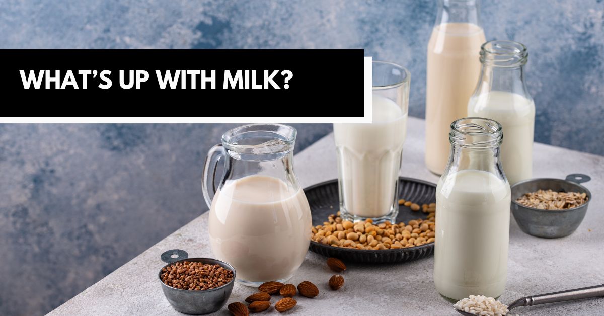 non-dairy milk recipes